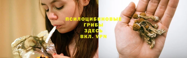 дживик Дмитриев